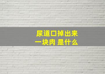 尿道口掉出来一块肉 是什么